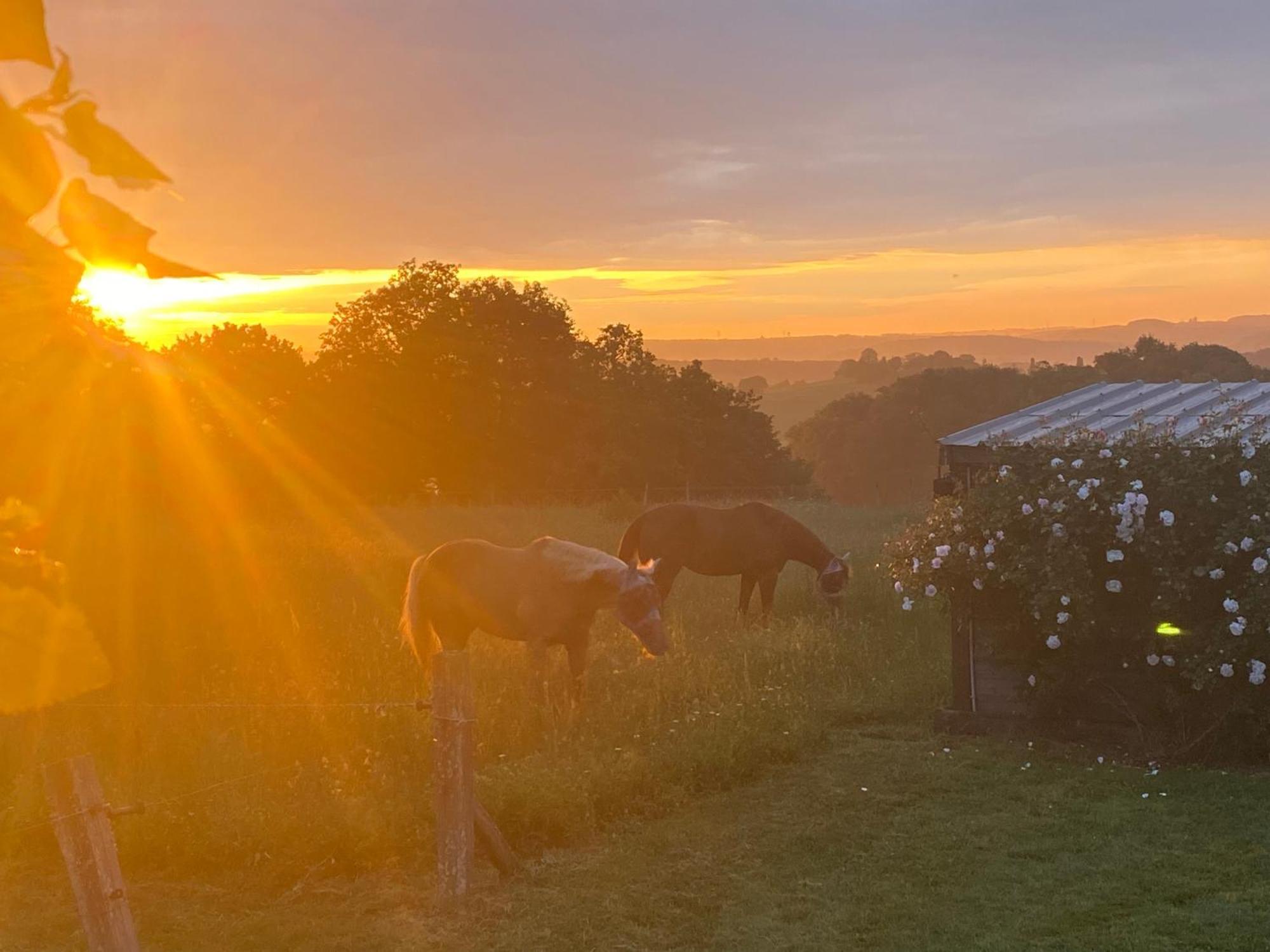 Logement Entier De Charme, Gite Equestre Gers Flamarens Bagian luar foto