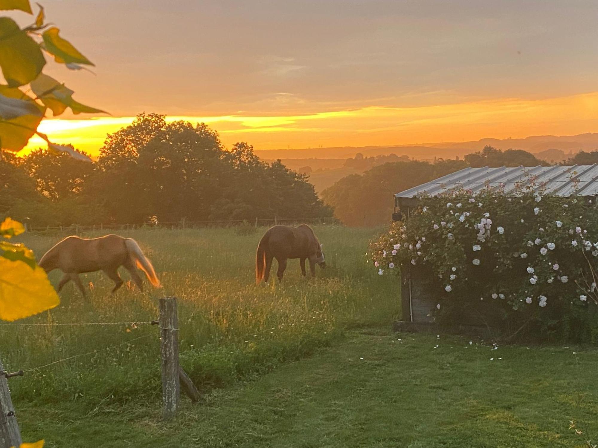 Logement Entier De Charme, Gite Equestre Gers Flamarens Bagian luar foto