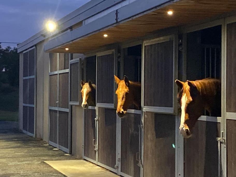 Logement Entier De Charme, Gite Equestre Gers Flamarens Bagian luar foto