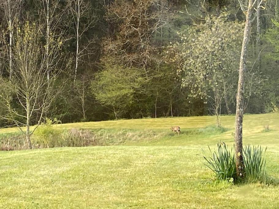Logement Entier De Charme, Gite Equestre Gers Flamarens Bagian luar foto