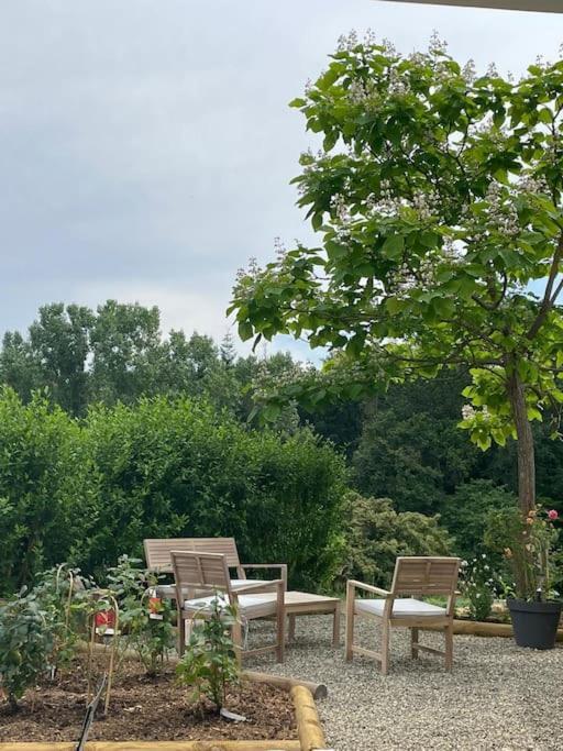 Logement Entier De Charme, Gite Equestre Gers Flamarens Bagian luar foto